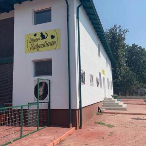 Galerie Tierhilfe Hoffnung 5