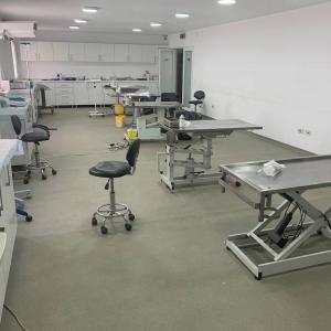 Galerie Tierhilfe Hoffnung 2