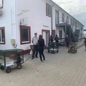 Galerie Tierhilfe Hoffnung 9