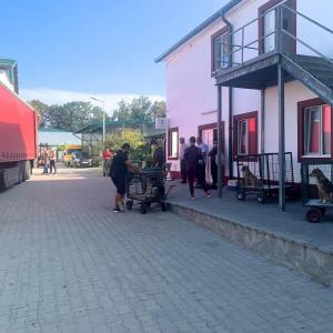 Galerie Tierhilfe Hoffnung 6