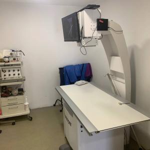 Galerie Tierhilfe Hoffnung 1