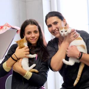 Galerie Tierhilfe Hoffnung 1