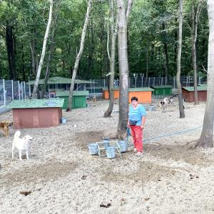 Galerie Tierhilfe Hoffnung 16