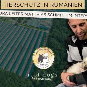 Tierschutz in Rumänien &#8211; Ein Interview mit Smeura Leiter Matthias Schmidt