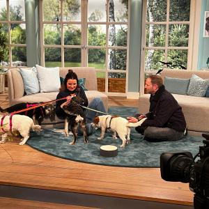 Smeura Hunde in WDR Sendung Tiere suchen ein Zuhause