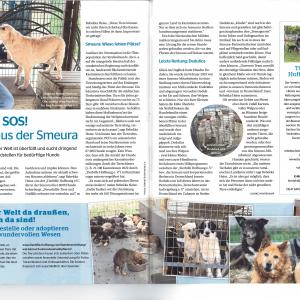 SOS! Hilferuf aus der Smeura &#8211; Ein Bericht in Partner Hund