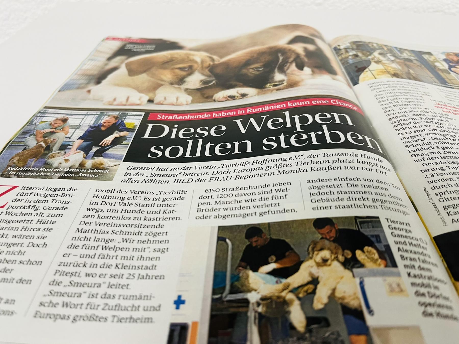 Smeura in Bild der Frau