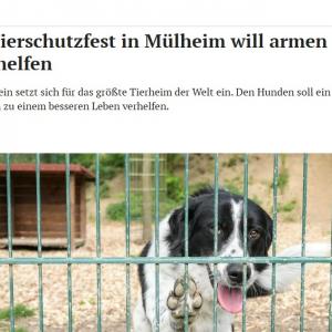 Großes Tierschutzfest in Mülheim