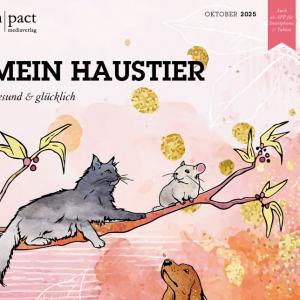 Rettung für die Rechtlosen