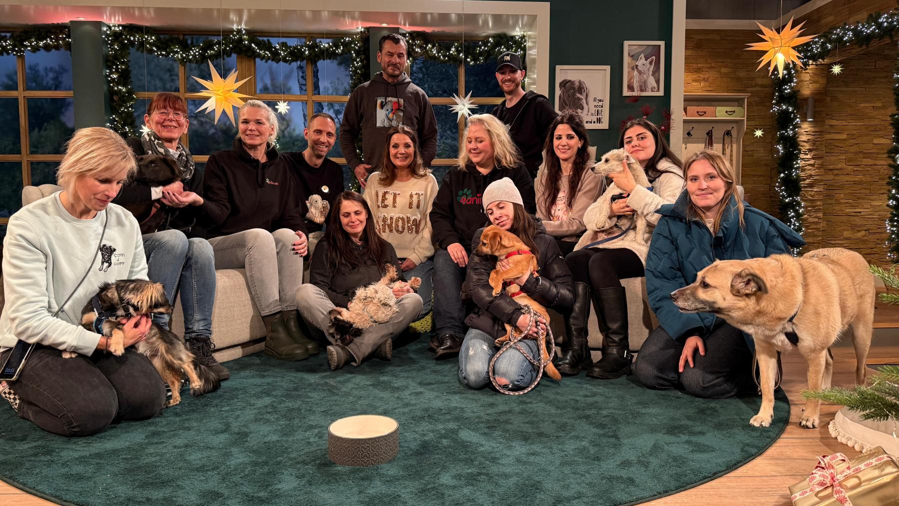 Tiere suchen ein Zuhause