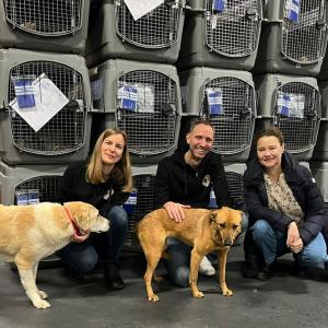 Stabsstelle Tierschutz BW zu Besuch