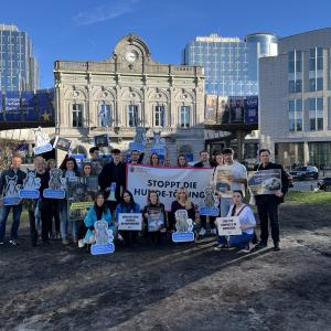 Kastration statt Tötung!