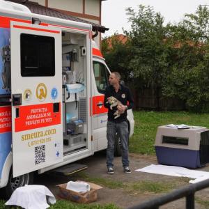 Reuters in der Smeura