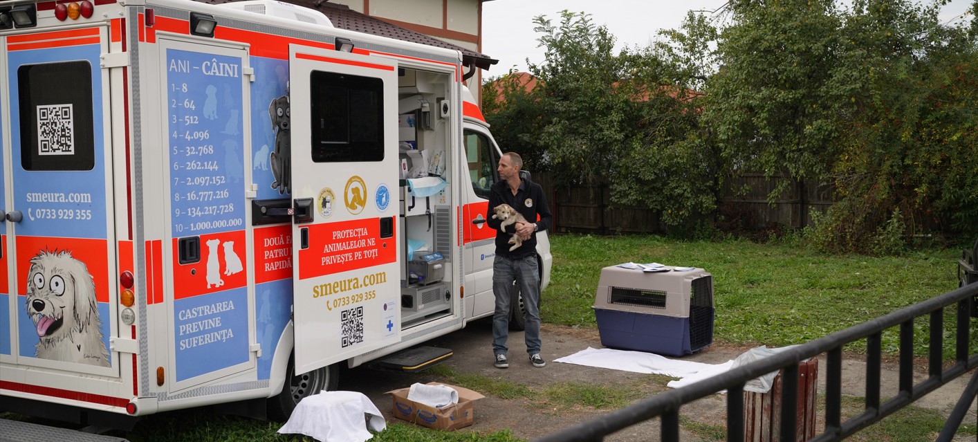 Reuters in der Smeura