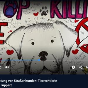 Kinder Protestbuch im Fernsehen