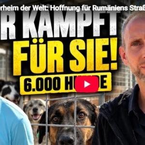 Smeura Reportage auf YouTube