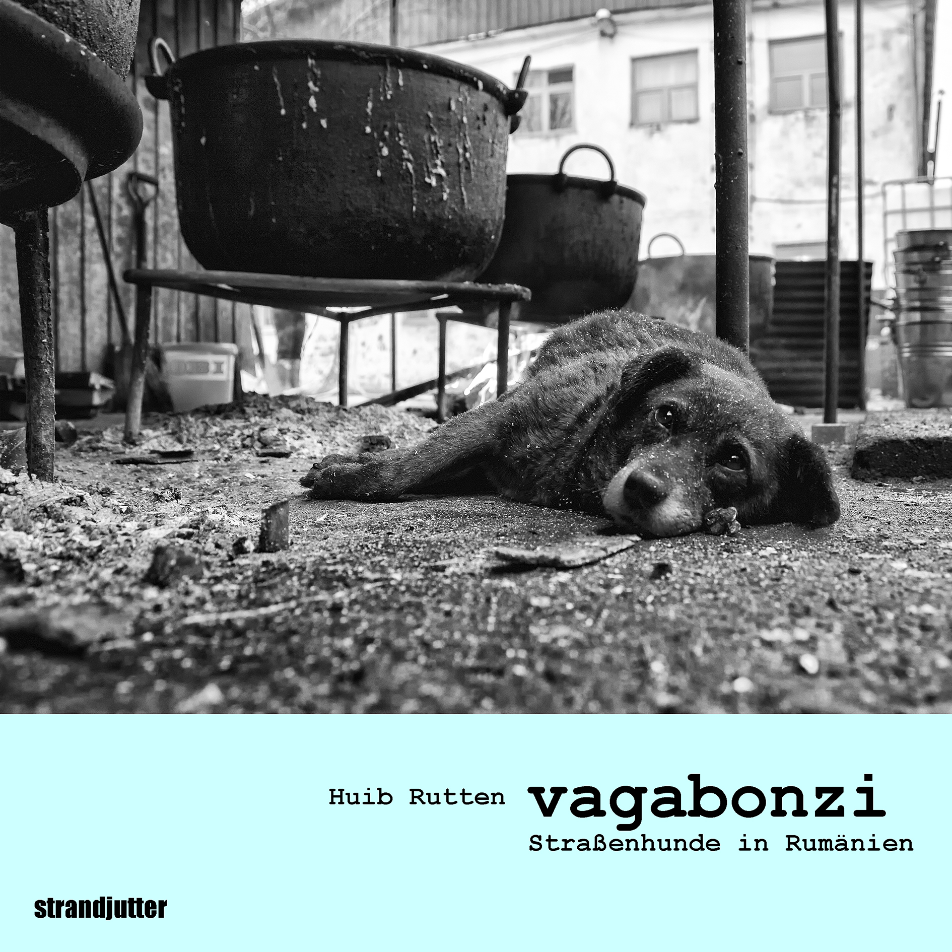 Bücher, Kalender &amp; mehr Tierhilfe Hoffnung