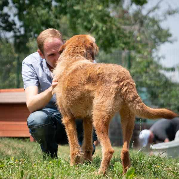 Tierhilfe Hoffnung 1