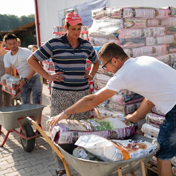 Tierhilfe Hoffnung 2