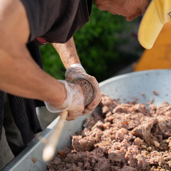 Startseite Tierhilfe Hoffnung