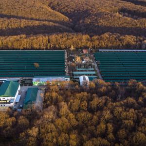 Galerie Tierhilfe Hoffnung 1