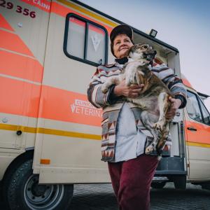 Galerie Tierhilfe Hoffnung 10