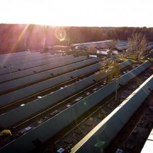 Galerie Tierhilfe Hoffnung 3